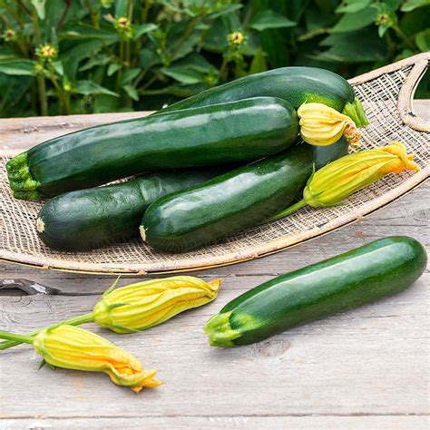 Black Magic Zucchini: A Game-Changer for Vegan and Vegetarian Diets